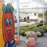 Gallrein Farms photo