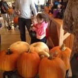 Gallrein Farms photo