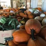 Gallrein Farms photo