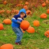 Gallrein Farms photo