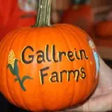 Gallrein Farms photo