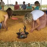 Gallrein Farms photo