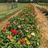 Gallrein Farms photo