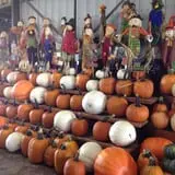 Gallrein Farms photo