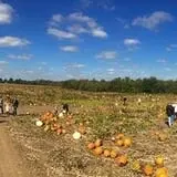 Gallrein Farms photo