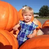 Gallrein Farms photo