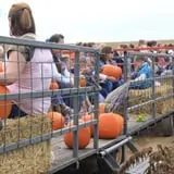 Gallrein Farms photo