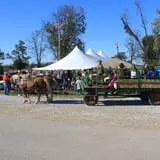 Gallrein Farms photo