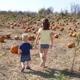 Gallrein Farms photo