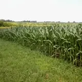 Gallrein Farms photo