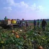 Gallrein Farms photo