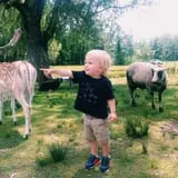 Fort Rickey Children's Discovery Zoo photo