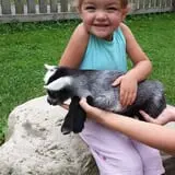 Fort Rickey Children's Discovery Zoo photo