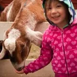 Fort Rickey Children's Discovery Zoo photo