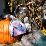 Fort Rickey Children's Discovery Zoo photo