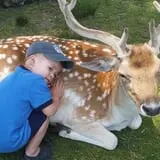 Fort Rickey Children's Discovery Zoo photo