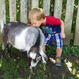 Fort Rickey Children's Discovery Zoo photo