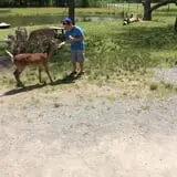 Fort Rickey Children's Discovery Zoo photo