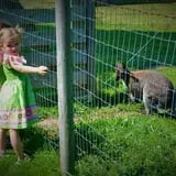 Fort Rickey Children's Discovery Zoo photo