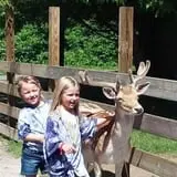 Fort Rickey Children's Discovery Zoo photo