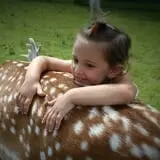 Fort Rickey Children's Discovery Zoo photo