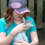 Fort Rickey Children's Discovery Zoo photo