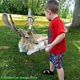 Fort Rickey Children's Discovery Zoo photo