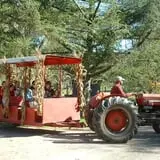 Fort Rickey Children's Discovery Zoo photo