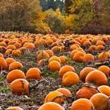 The Hunter Farm photo