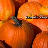 The Hunter Farm photo