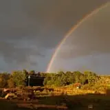 The Hunter Farm photo