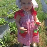 The Hunter Farm photo