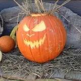 The Hunter Farm photo