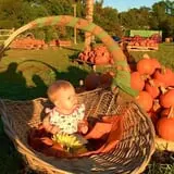 The Hunter Farm photo