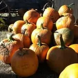 The Hunter Farm photo
