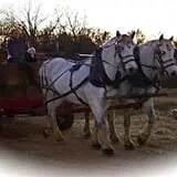 The Hunter Farm photo