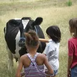 The Hunter Farm photo