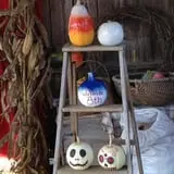 The Hunter Farm photo