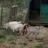 The Hunter Farm photo