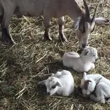 The Hunter Farm photo