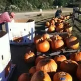 The Hunter Farm photo