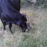 The Hunter Farm photo