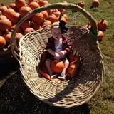 The Hunter Farm photo