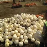The Hunter Farm photo
