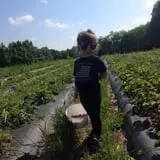 The Hunter Farm photo