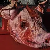 Haunted Hills Hayride & Valley of Darkness Haunted Walking Trail photo
