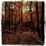 Haunted Hills Hayride & Valley of Darkness Haunted Walking Trail photo