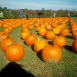 Holmberg Orchards & Winery photo