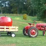 Holmberg Orchards & Winery photo