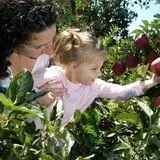 Holmberg Orchards & Winery photo